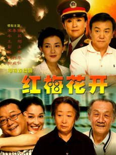 Chinese TV - 红梅花开