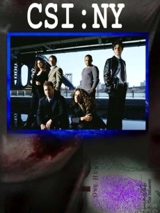 电视剧《CSI犯罪现场调查第2季:纽约篇》 导演