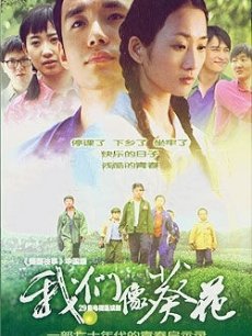 Chinese TV - 我们像葵花