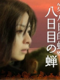 第八日的蝉