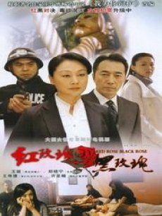 Chinese TV - 红玫瑰与黑玫瑰