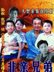 Chinese TV - 非亲兄弟