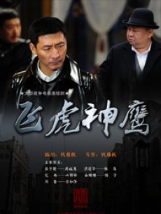 Chinese TV - 飞虎神鹰