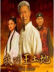 Chinese TV - 我叫王土地TV版