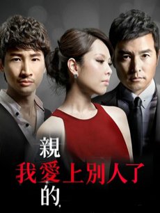 亲爱的我爱上别人了/亲爱的陌生人