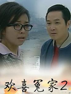 Chinese TV - 欢喜冤家2