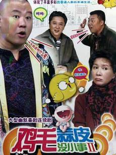 鸡毛蒜皮没小事2