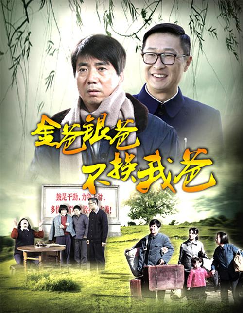 金爸银爸不换我爸