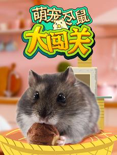 萌宠仓鼠大闯关
