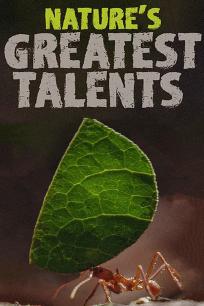 大自然最伟大的天才