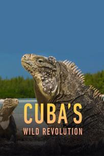 古巴的狂野革命