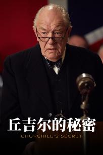 丘吉尔的秘密
