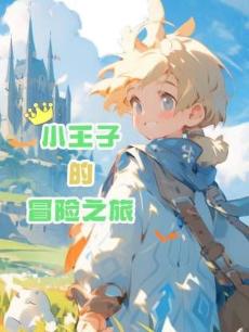 小王子的冒险之旅