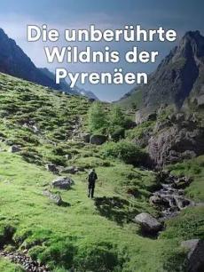 野性的比利牛斯