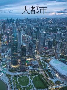 大都市