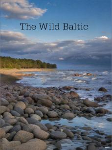狂野的波罗的海