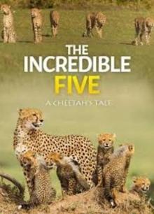 不可思议的五人组-猎豹的故事