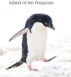 企鹅之岛
