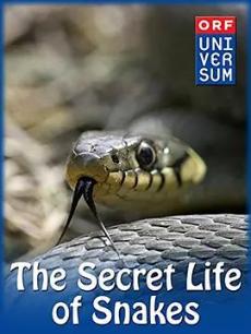 蛇的秘密生活