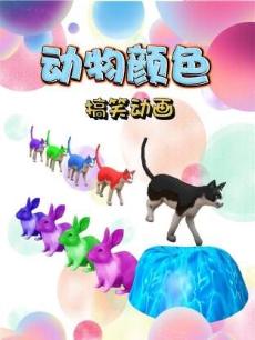 动物颜色搞笑动画