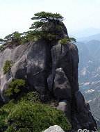 山野