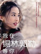 我在锡林郭勒等你