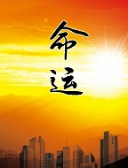 命运