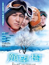 愿望树