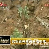 贵州卫视《直击大旱》-4月12日