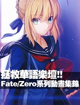 拯救华语乐坛的FATE ZERO-普通话版人物角色歌