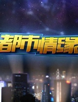 都市情缘-20161103-三十七年前的承诺
