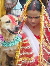 印度女孩嫁狗随狗真人版