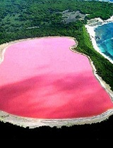 澳洲惊现梦幻般粉红色湖泊