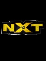 WWE·NXT战争游戏大赛