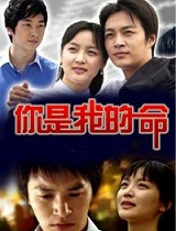你是我的命
