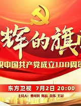 光辉的旗帜上海市庆祝中国共产党成立100周年文艺晚会
