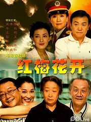 Chinese TV - 红梅花开