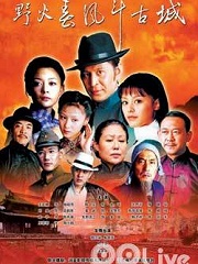 Chinese TV - 野火春风斗古城