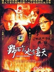 Chinese TV - 野百合也有春天