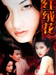 Chinese TV - 红绒花