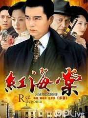 Chinese TV - 红海棠