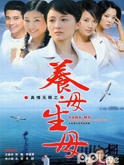 Chinese TV - 真情无限之养母生母