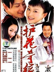 Chinese TV - 护花奇缘