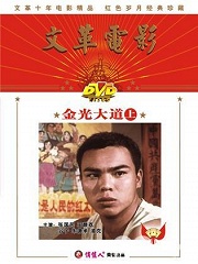 Story movie - 金光大道1