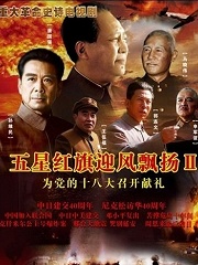 Chinese TV - 五星红旗迎风飘扬2全集