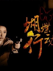 Chinese TV - 蝴蝶行动