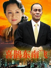 Chinese TV - 喜鹊东南飞