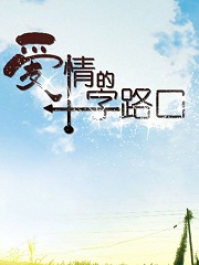 Chinese TV - 爱情的十字路口