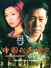 Chinese TV - 中年计划