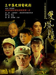 Chinese TV - 暗战风云